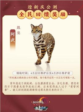 黑暗纪元天龙八部私服
